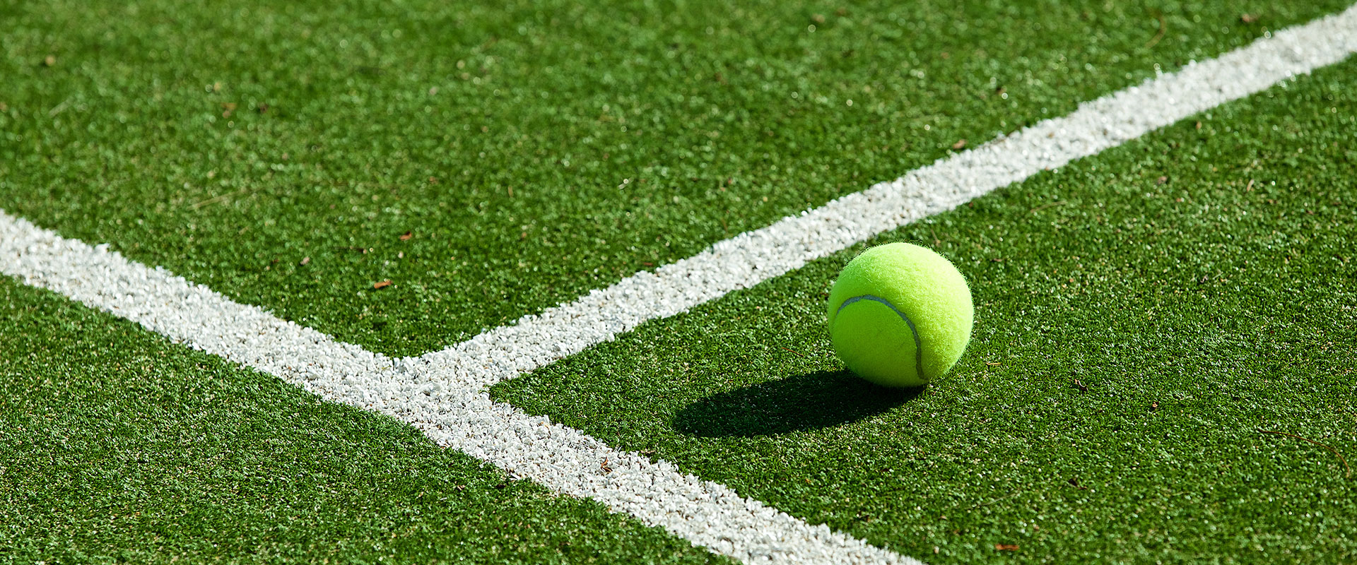 tennis cesped.jpg (675 KB)