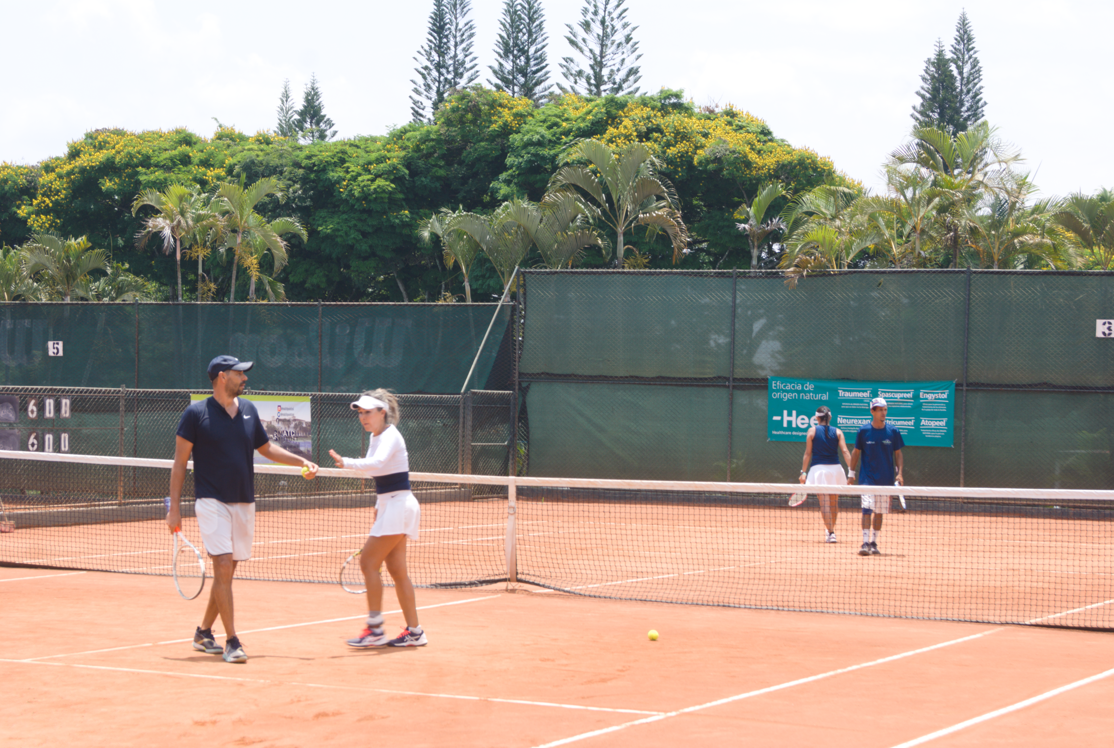 torneo nacional interclubes seniors (2).png (11.60 MB)