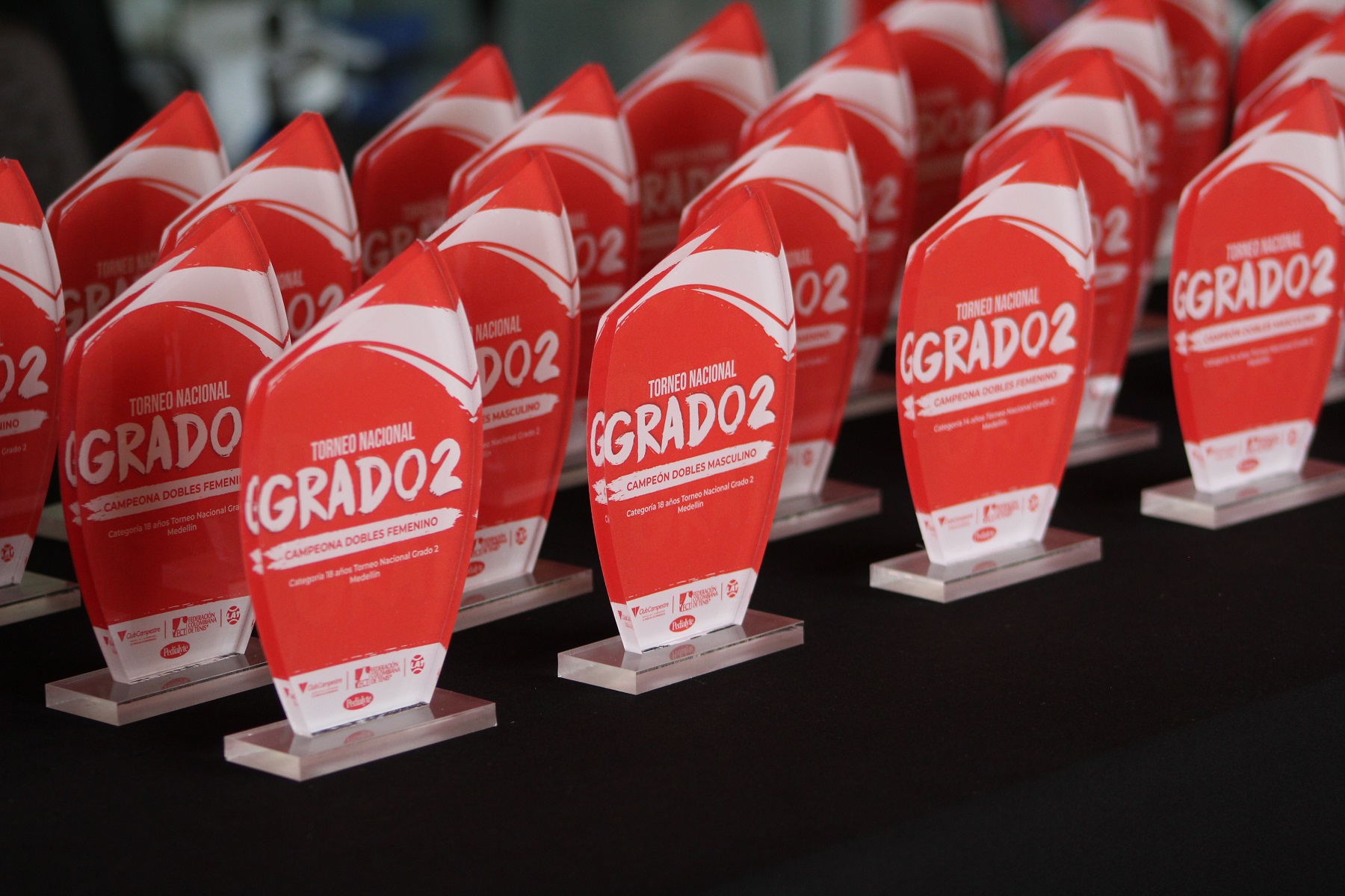 Grado 2 Antioquia.JPG (492 KB)