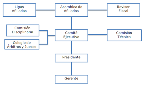 Organigrama Organigrama